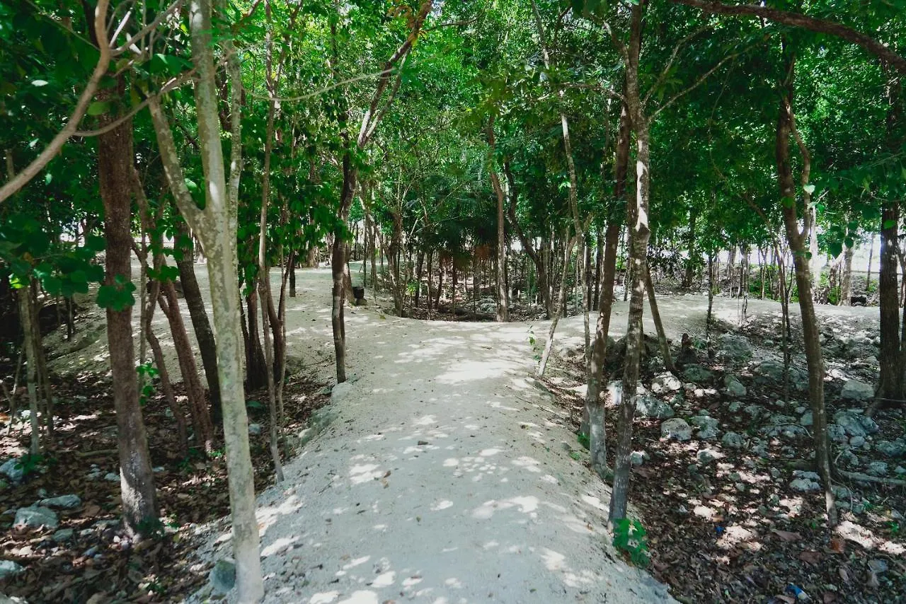 Apartment Depto Vacacional Coto7 Selvanova Playa Del Carmen